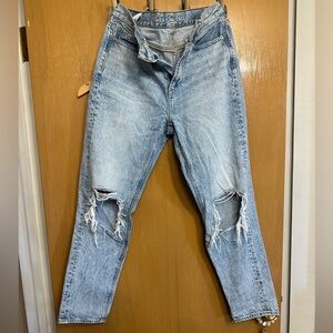 American Eagle Outfitters Light Mom Jean